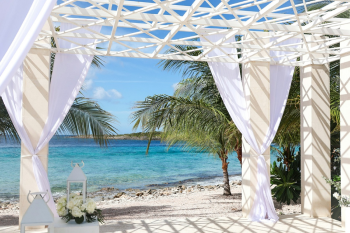 Beach wedding ceremony setup with white draped pergola, tropical palm trees, and ocean view