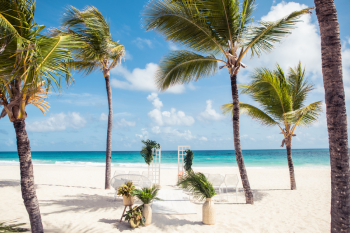Tropical beach wedding ceremony setup with greenery and palm trees for Tropical Paradise package