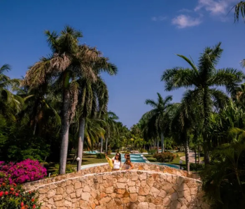 Palm-lined pathways and tropical
landscaping throughout El Dorado Royale, creating a lush adults-only resort
atmosphere in Mexico. Palm-lined pathways and tropical
landscaping throughout El Dorado Royale, creating a lush adults-only resort
atmosphere in Mexico.
