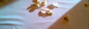 Jewish Destination Wedding Mexico Caribbean
